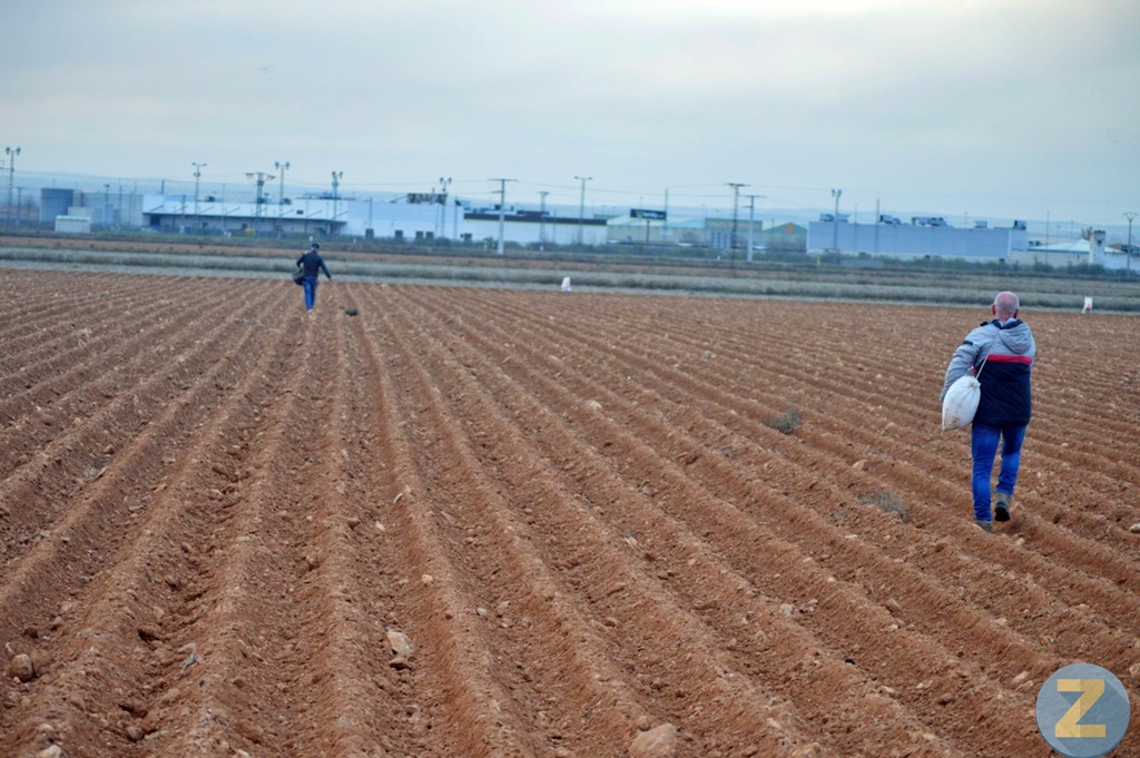 ob.imagen.Descripcion