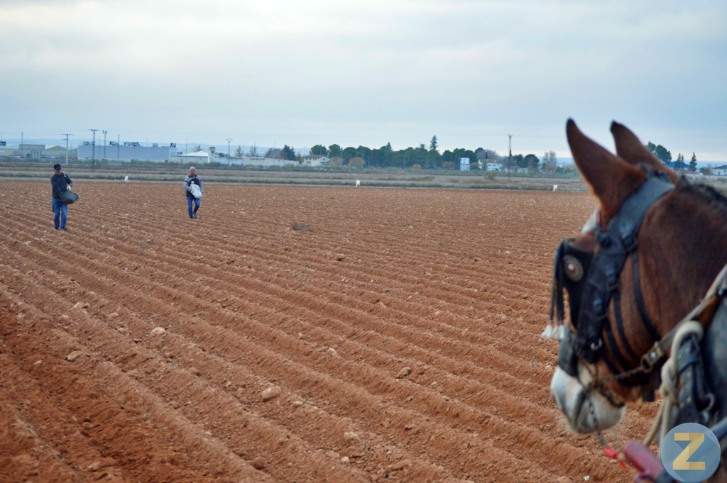 ob.imagen.Descripcion