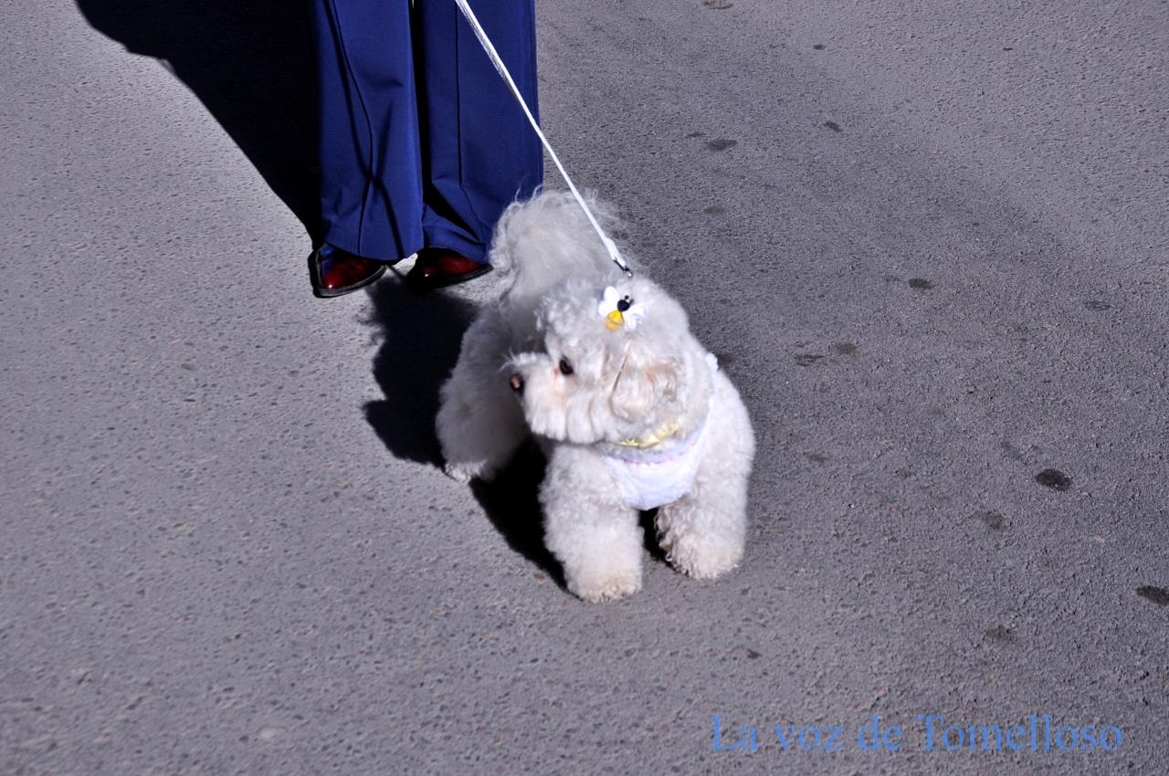 ob.imagen.Descripcion