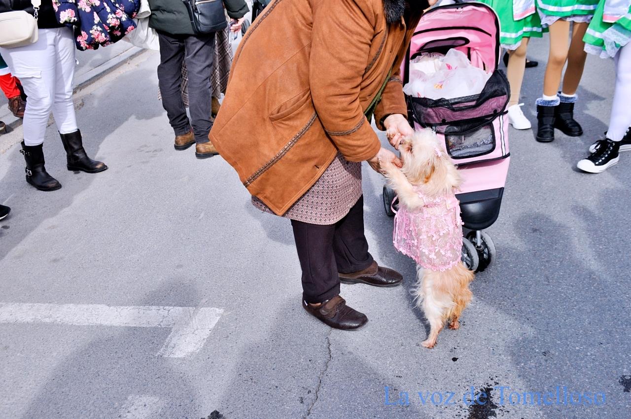 ob.imagen.Descripcion