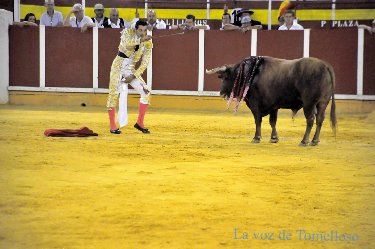 ob.imagen.Descripcion