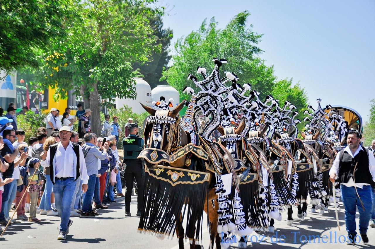 ob.imagen.Descripcion