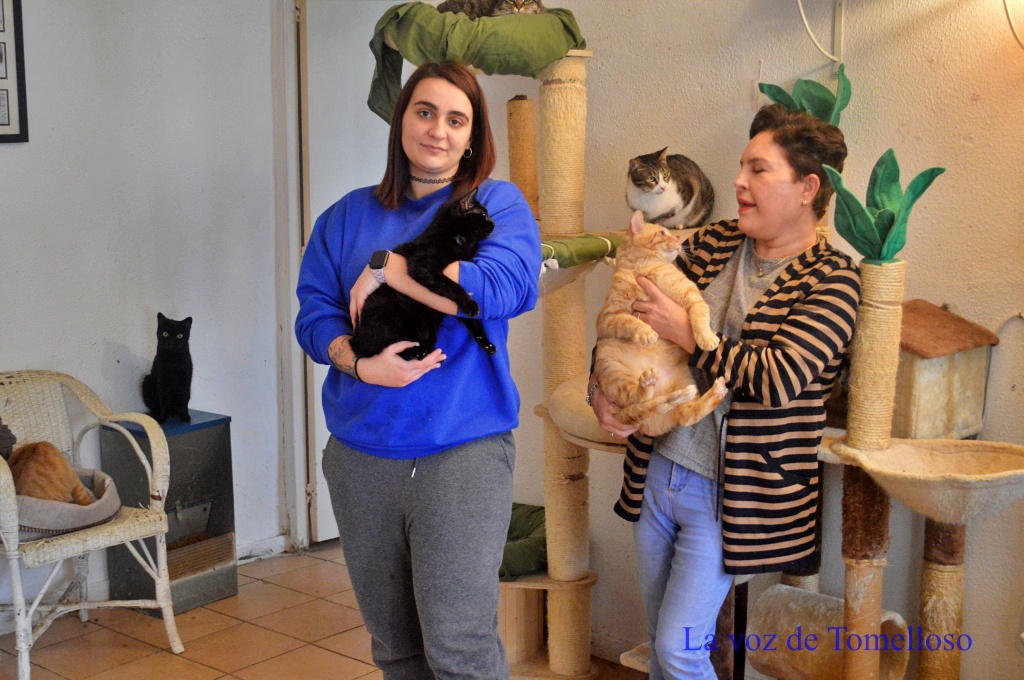 ob.imagen.Descripcion