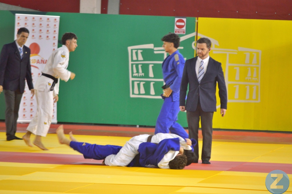 ob.imagen.Descripcion