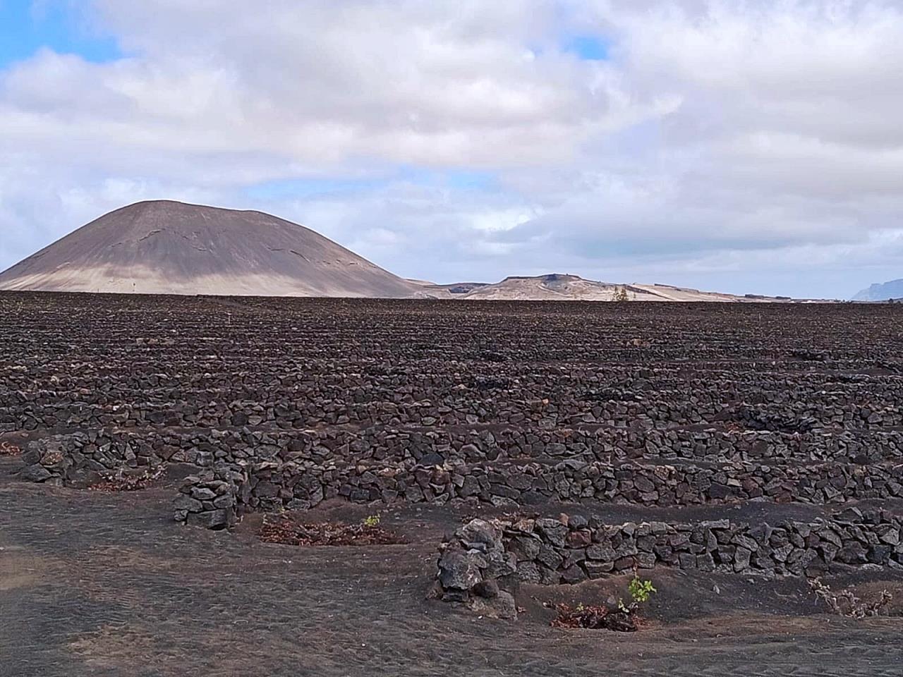 ob.imagen.Descripcion