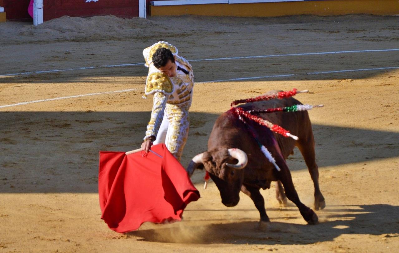 ob.imagen.Descripcion