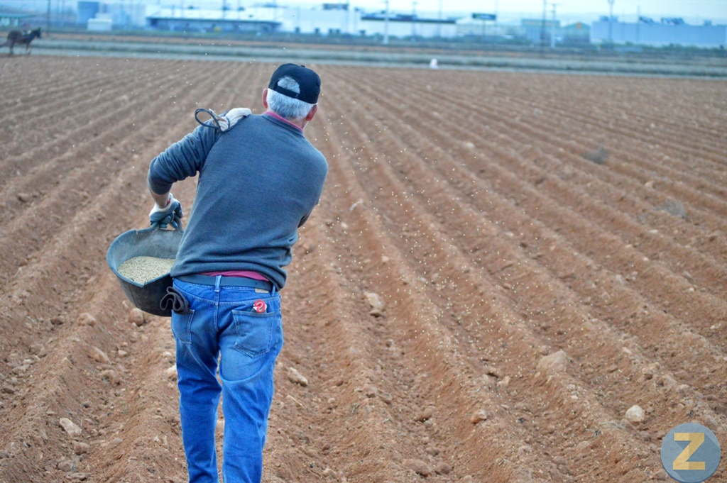 ob.imagen.Descripcion