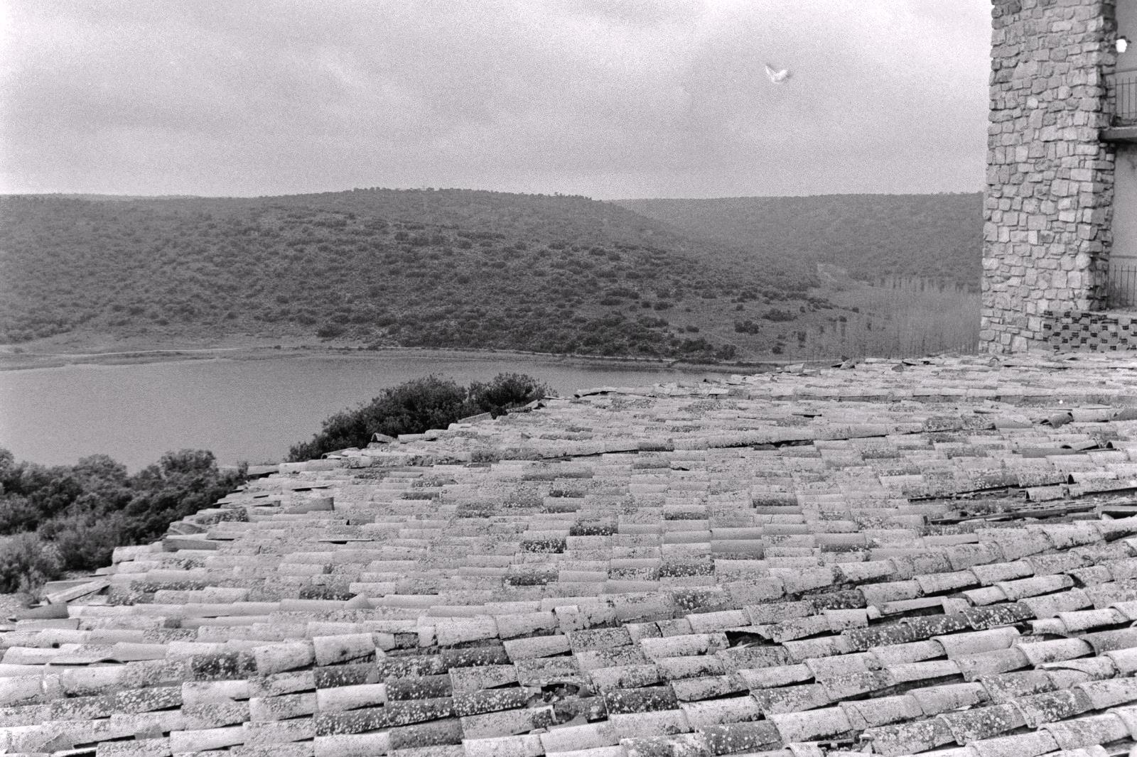 ob.imagen.Descripcion