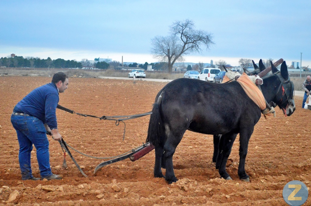 ob.imagen.Descripcion