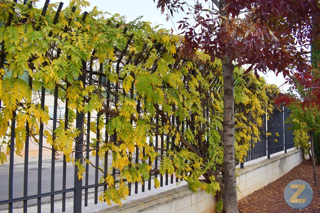 ob.imagen.Descripcion