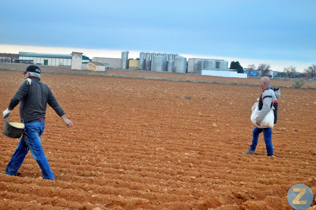 ob.imagen.Descripcion