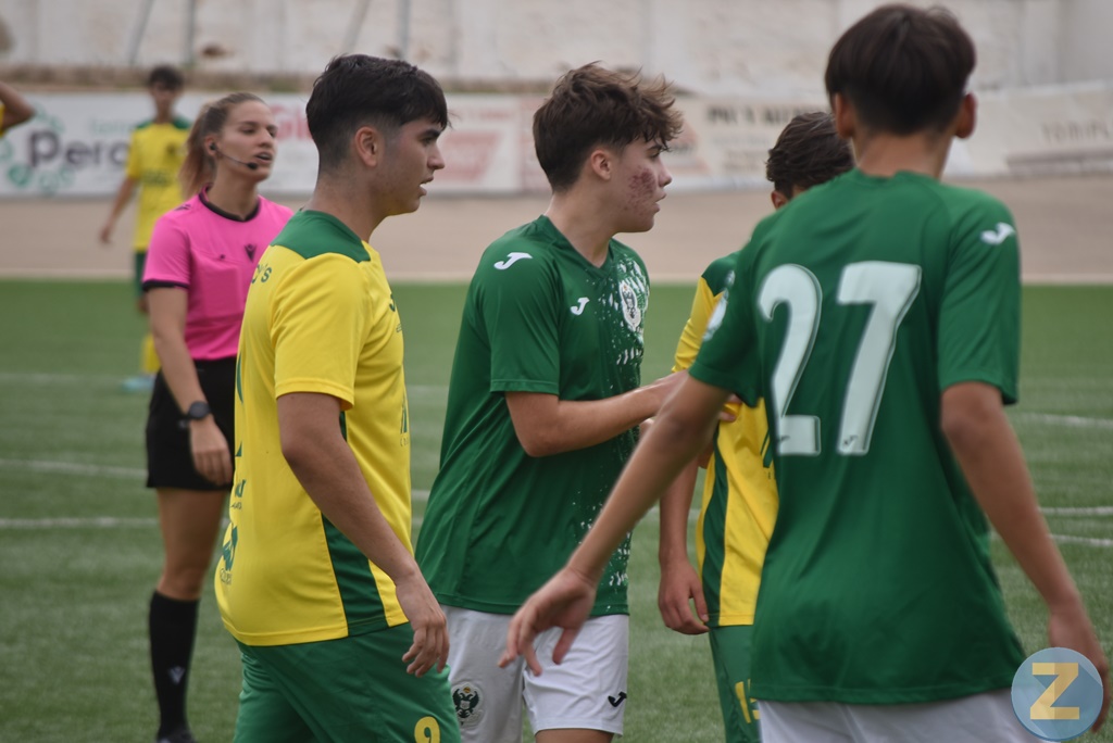 ob.imagen.Descripcion