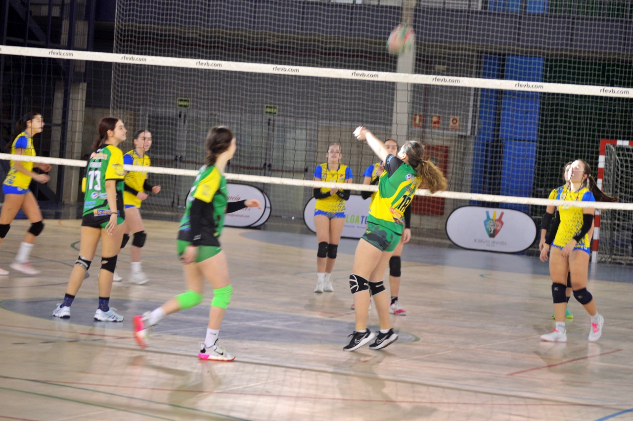 ob.imagen.Descripcion