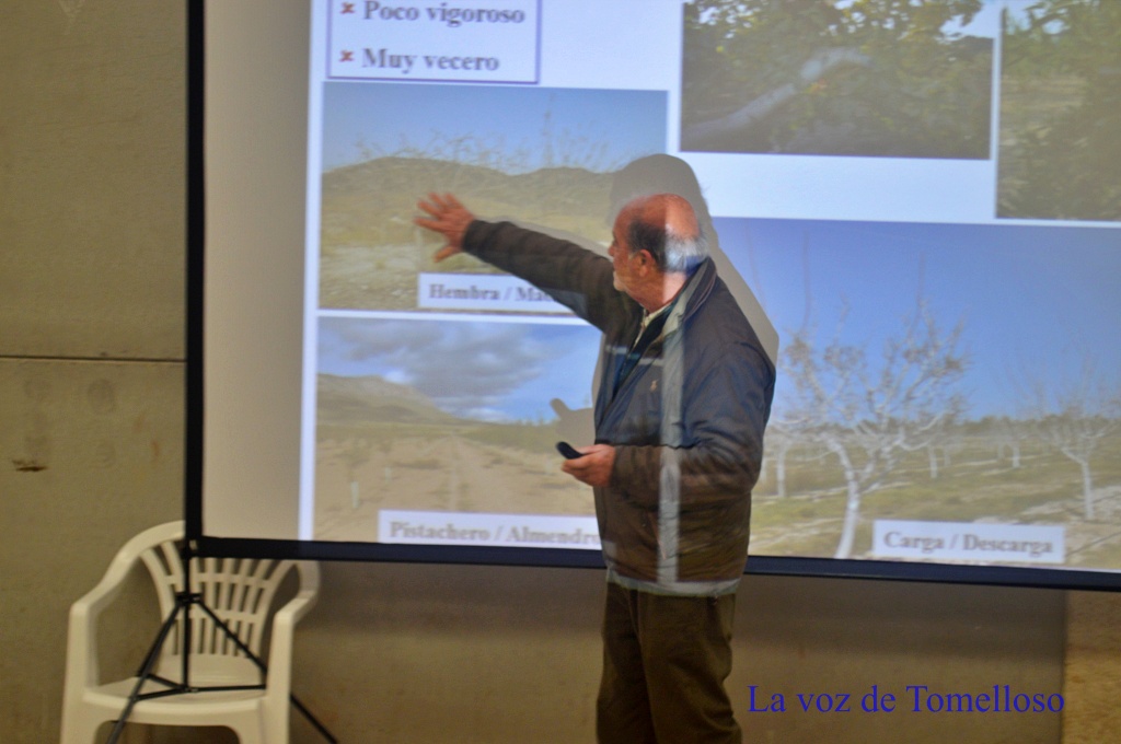 ob.imagen.Descripcion