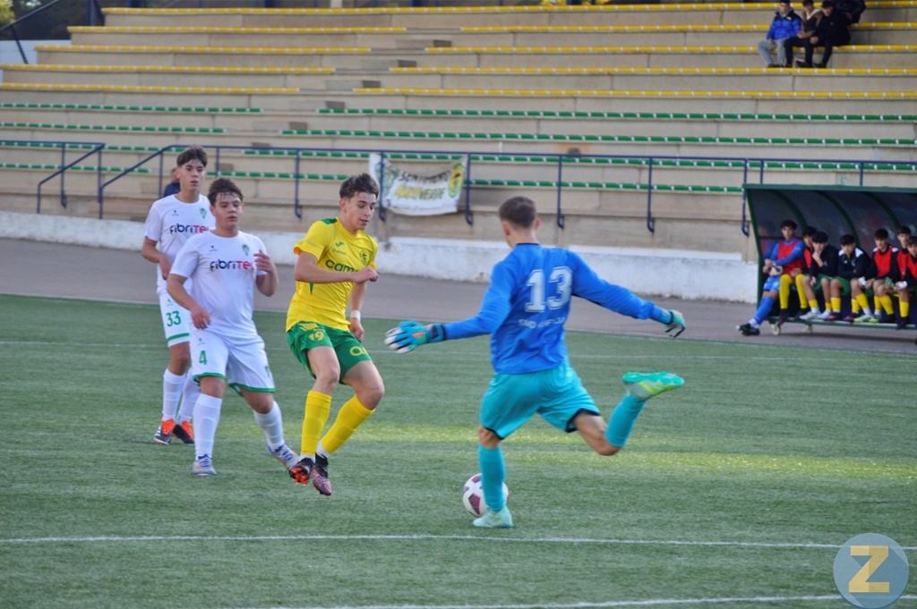 ob.imagen.Descripcion