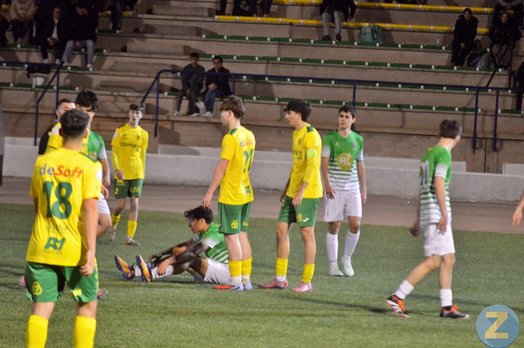 ob.imagen.Descripcion