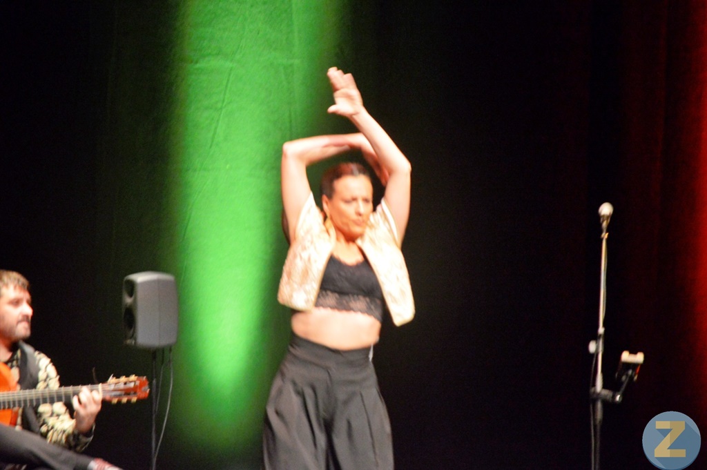 ob.imagen.Descripcion