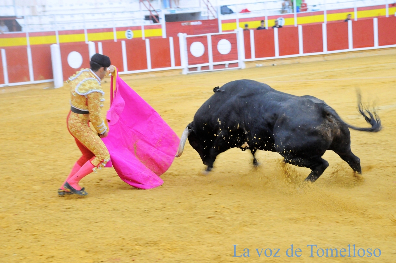 ob.imagen.Descripcion