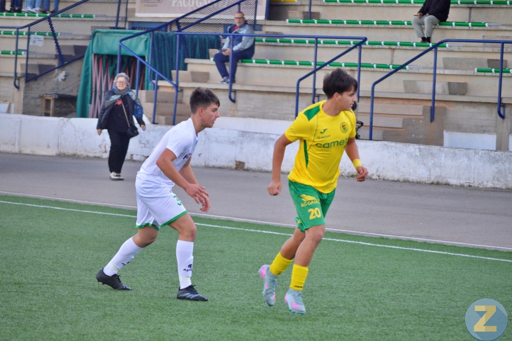 ob.imagen.Descripcion