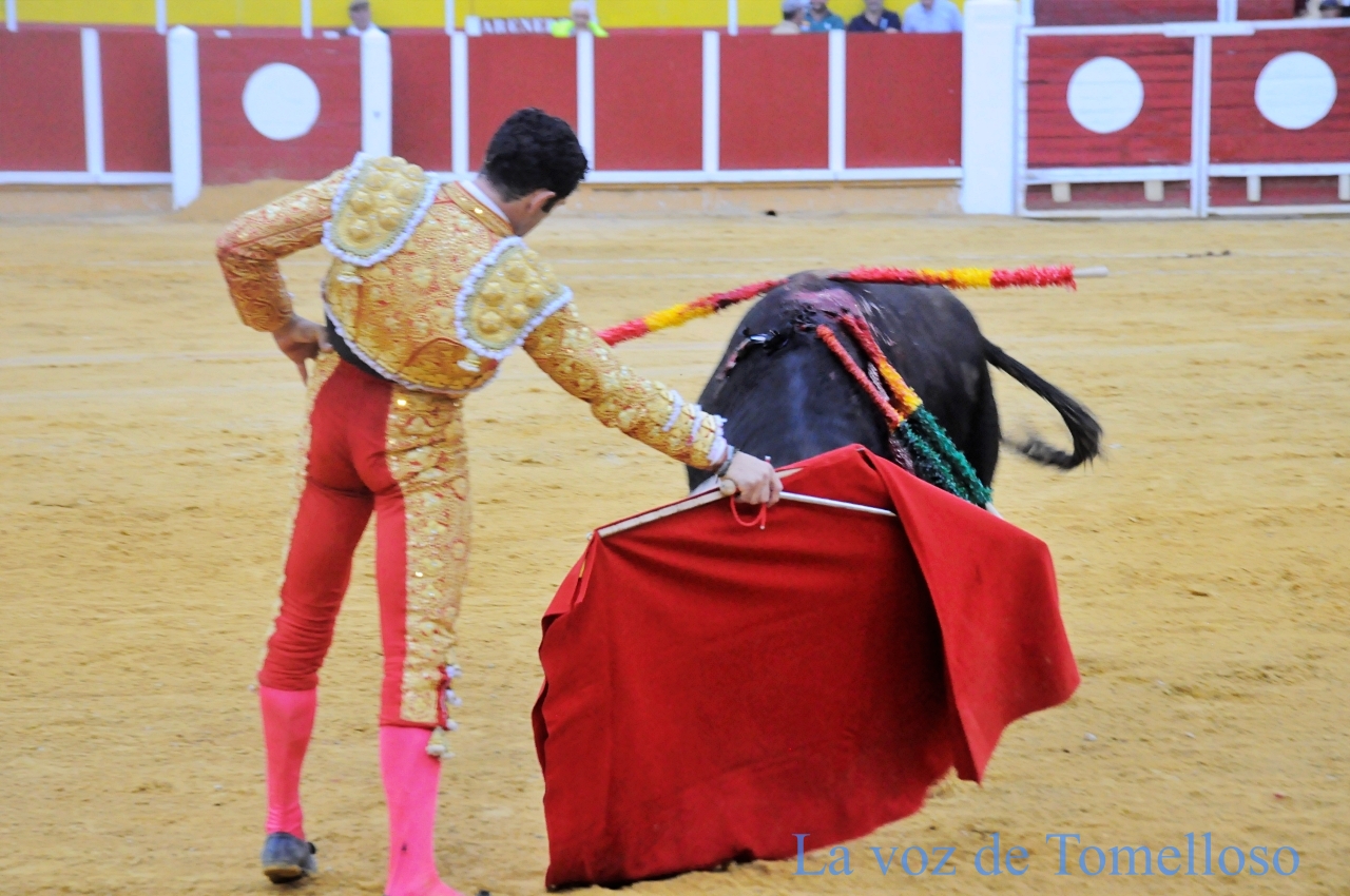 ob.imagen.Descripcion