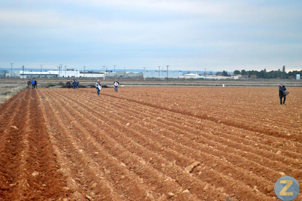 ob.imagen.Descripcion