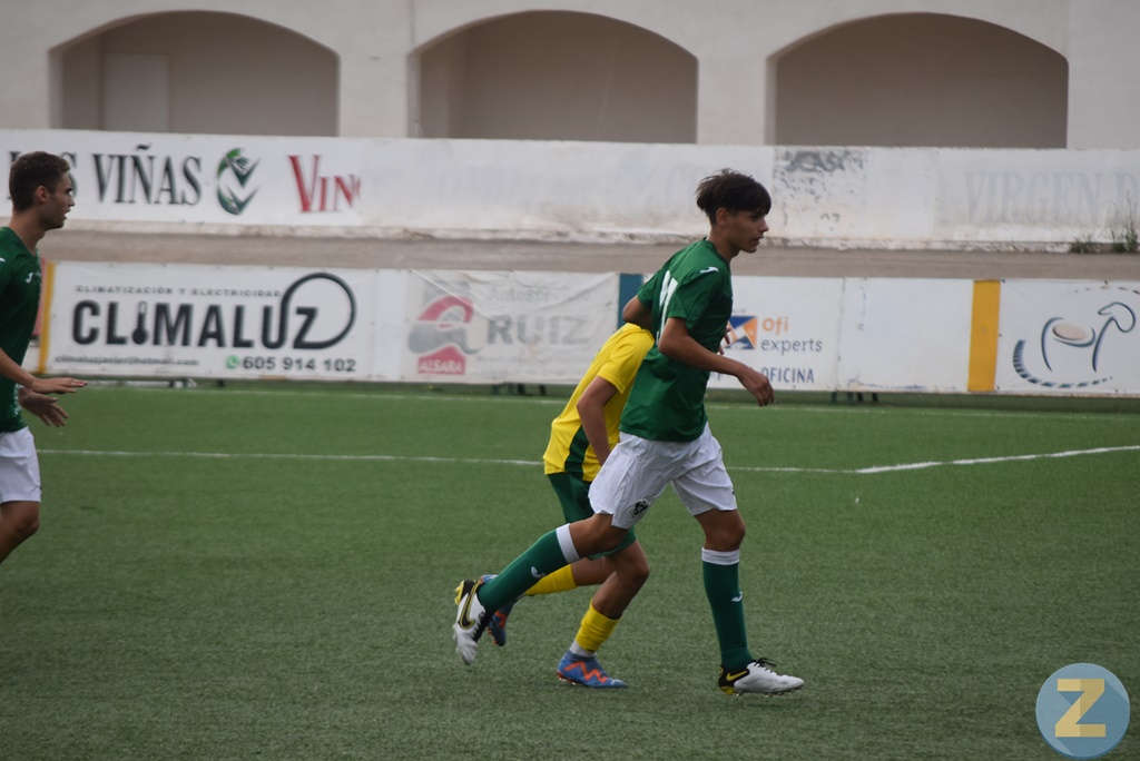 ob.imagen.Descripcion