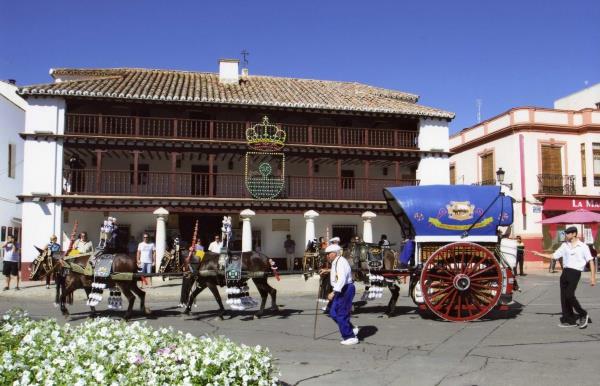 ob.imagen.Descripcion