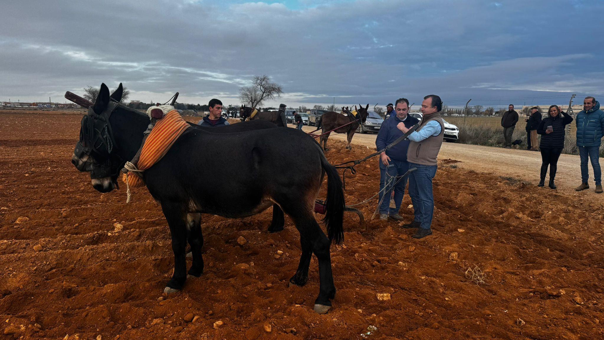 ob.imagen.Descripcion