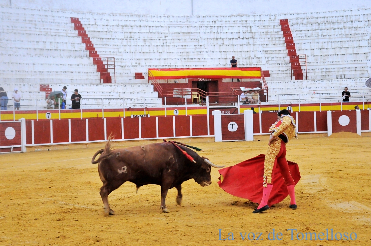 ob.imagen.Descripcion