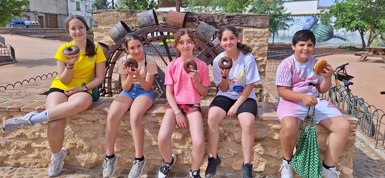 ob.imagen.Descripcion