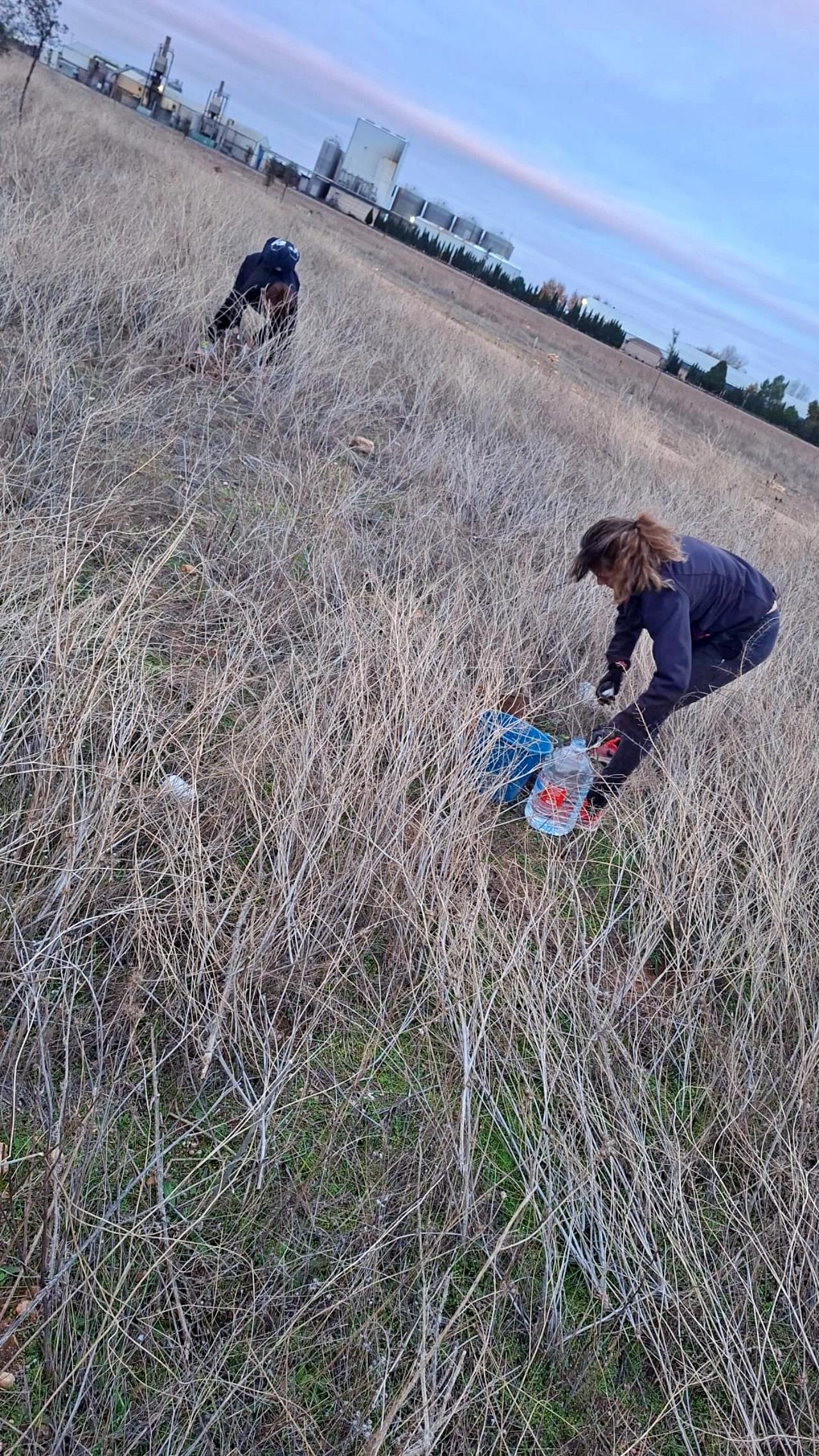 ob.imagen.Descripcion