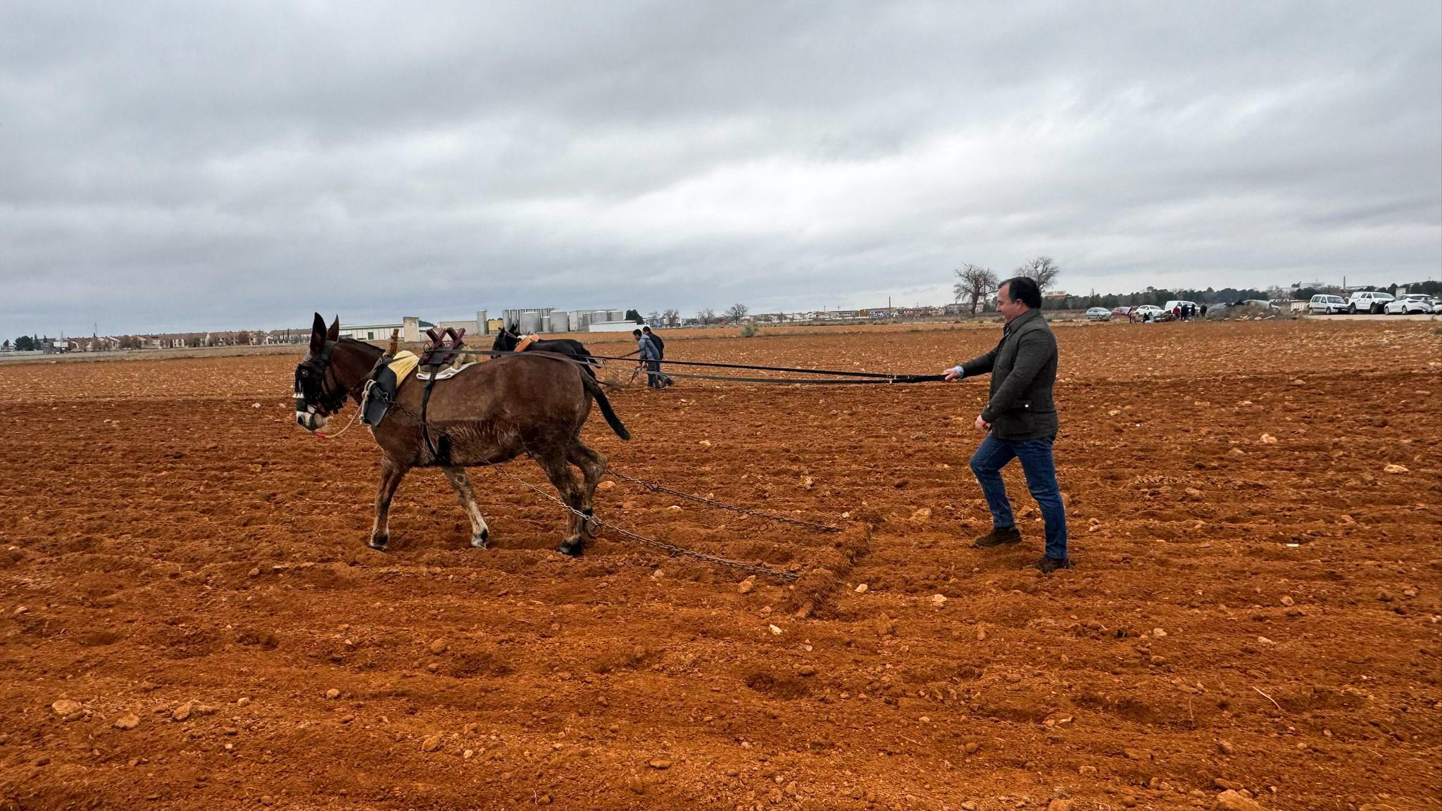 ob.imagen.Descripcion