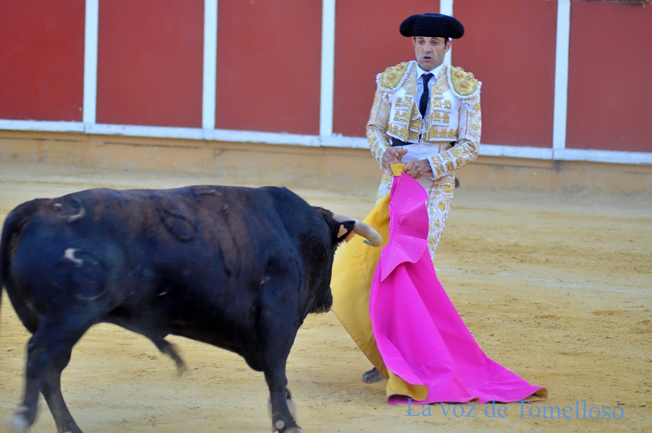 ob.imagen.Descripcion