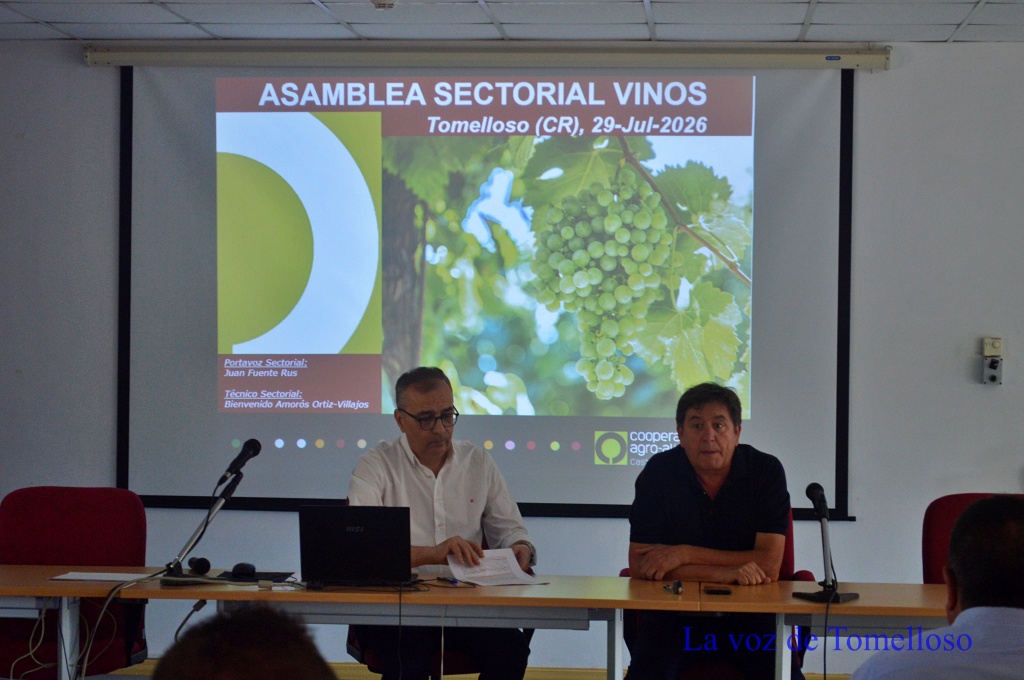 ob.imagen.Descripcion