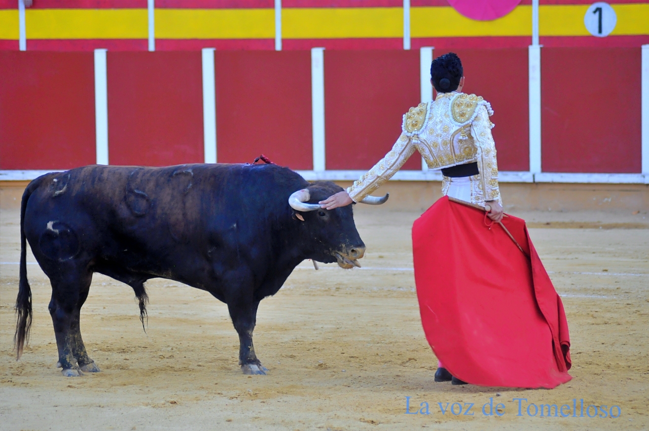 ob.imagen.Descripcion