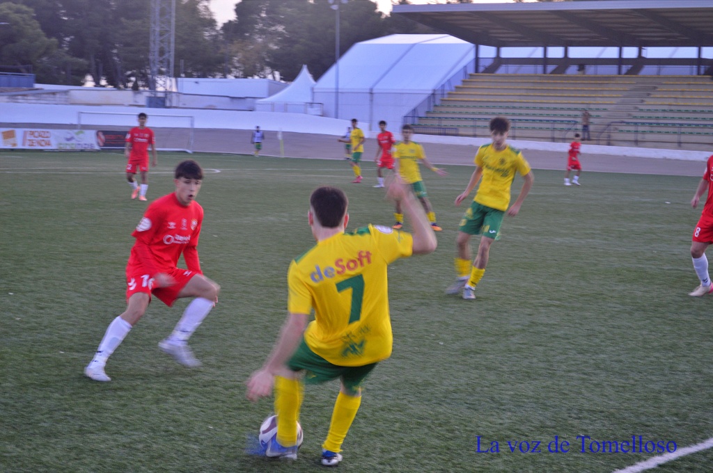 ob.imagen.Descripcion