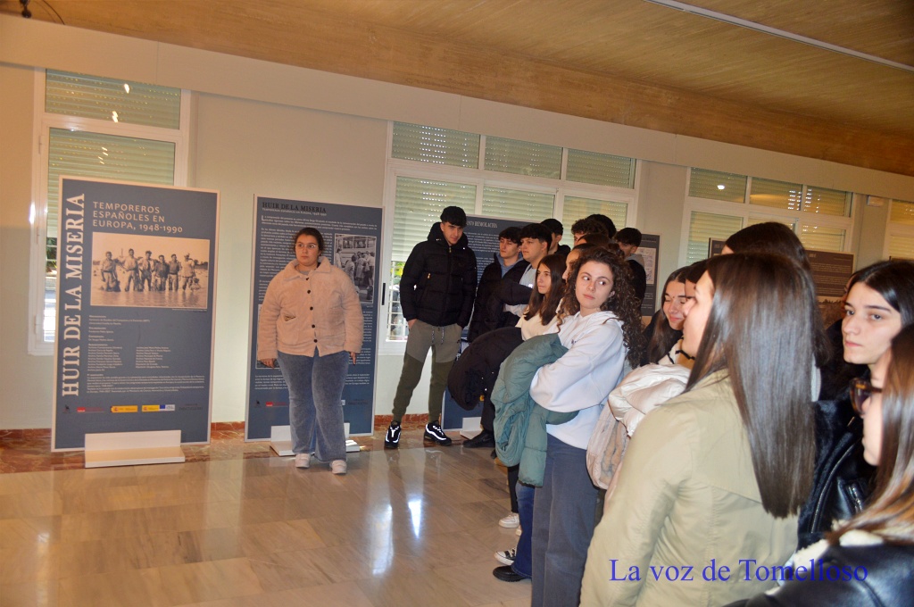 ob.imagen.Descripcion