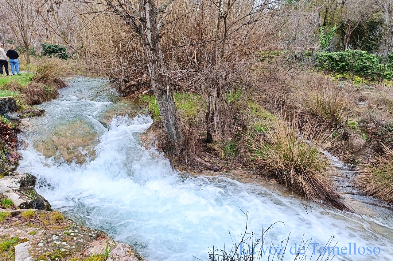 ob.imagen.Descripcion