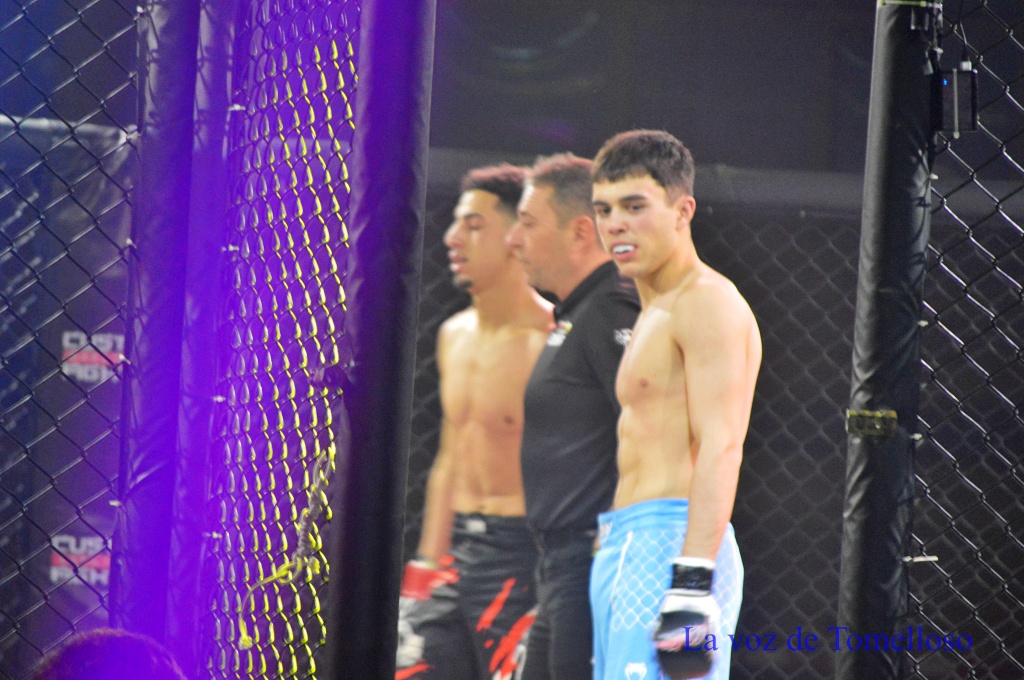 ob.imagen.Descripcion