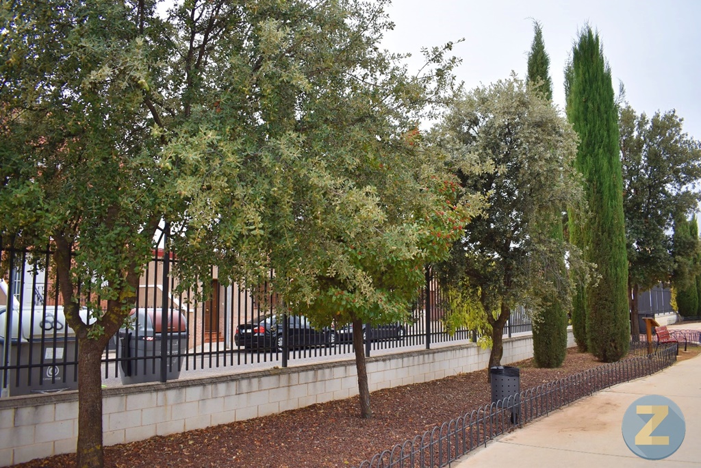 ob.imagen.Descripcion