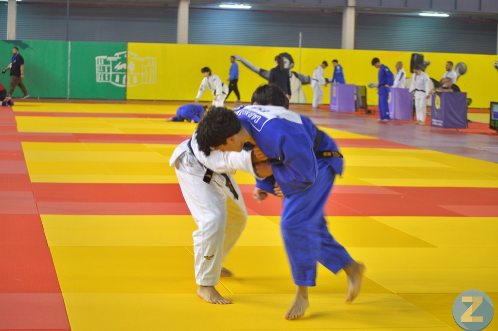 ob.imagen.Descripcion