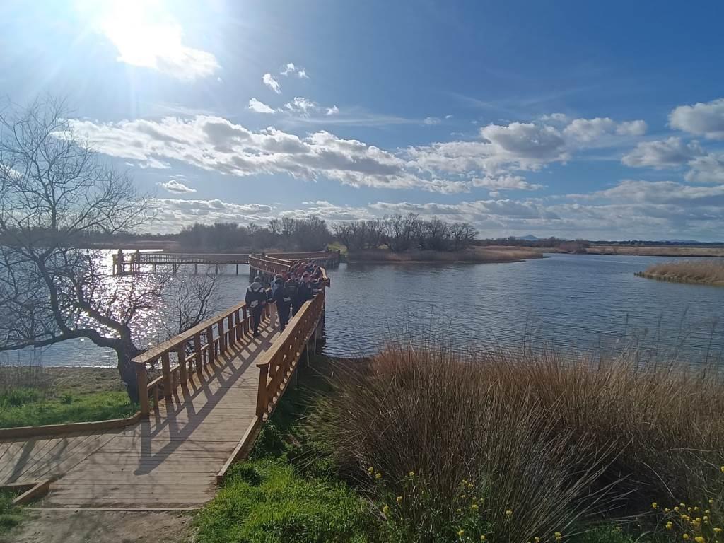 ob.imagen.Descripcion