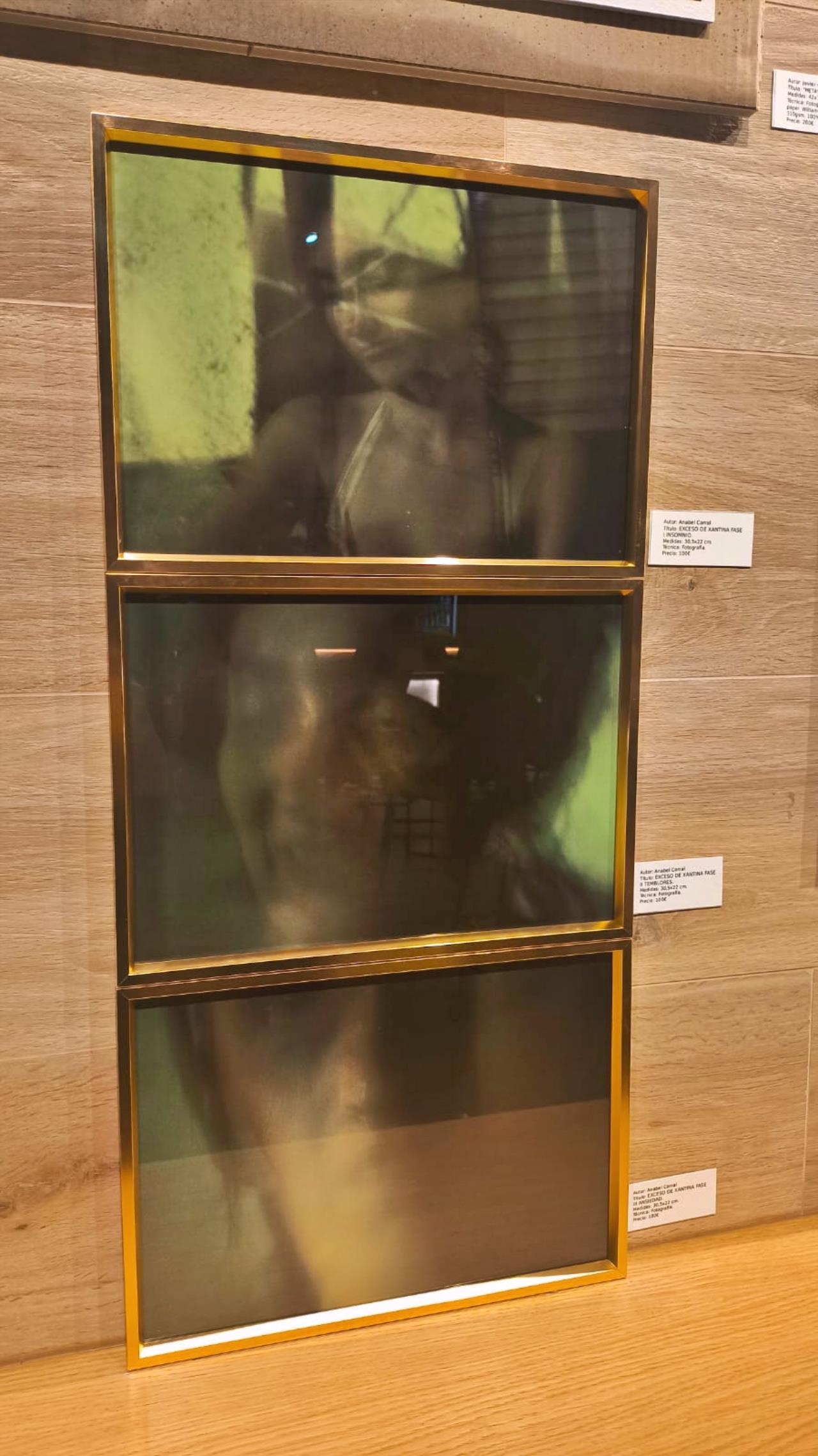 ob.imagen.Descripcion