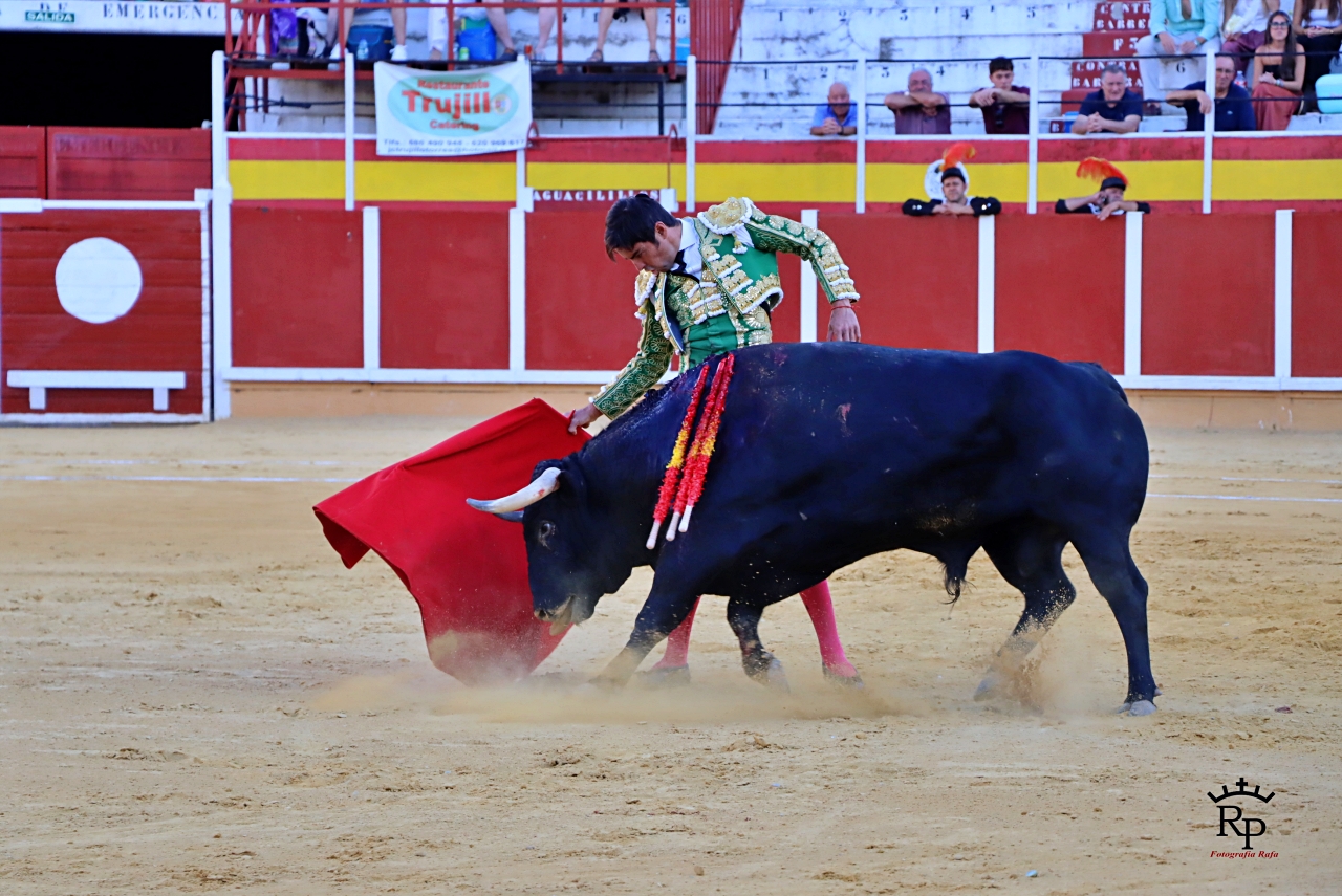 ob.imagen.Descripcion