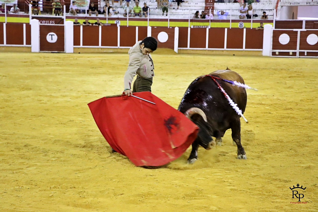 ob.imagen.Descripcion