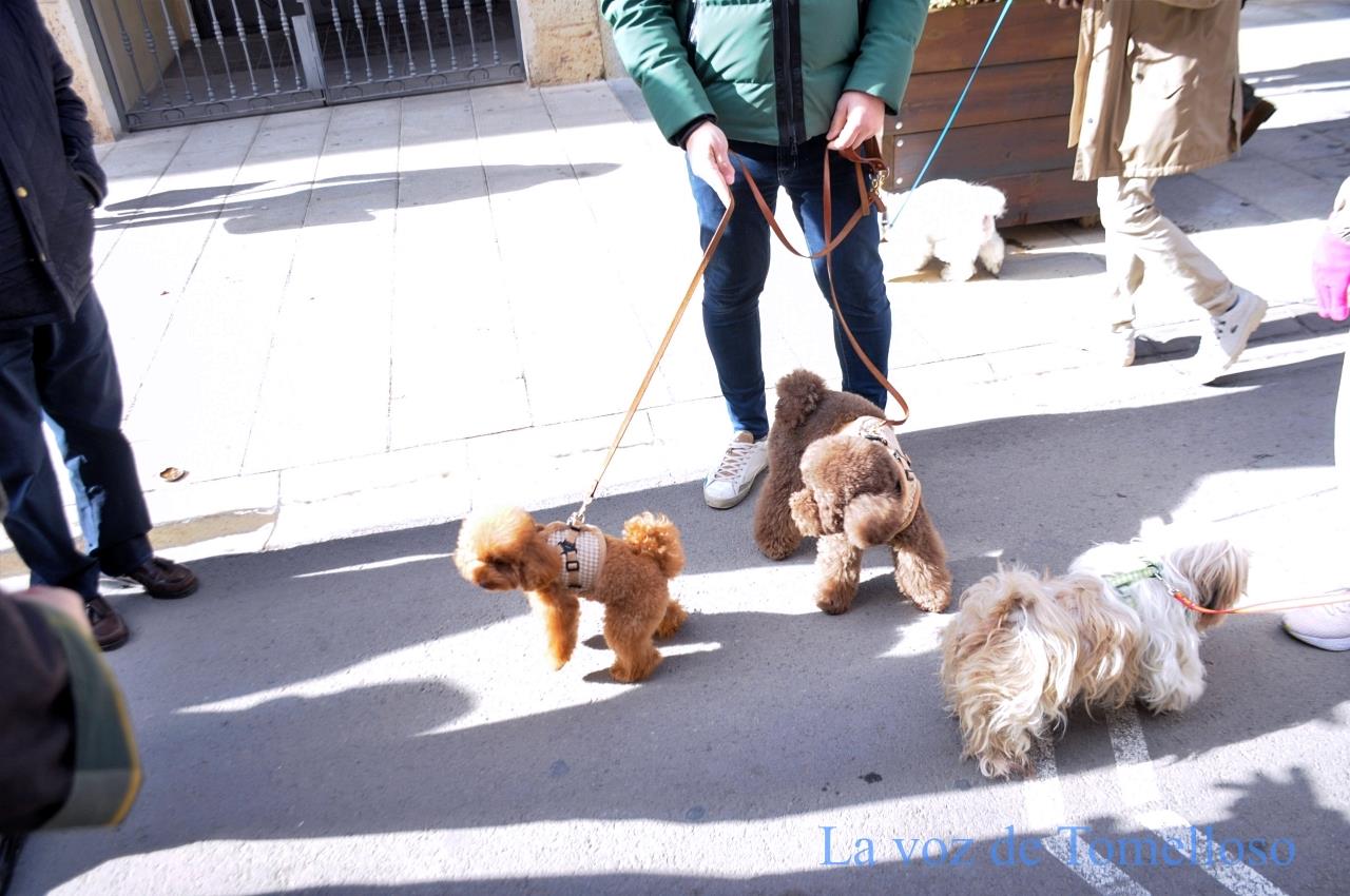 ob.imagen.Descripcion