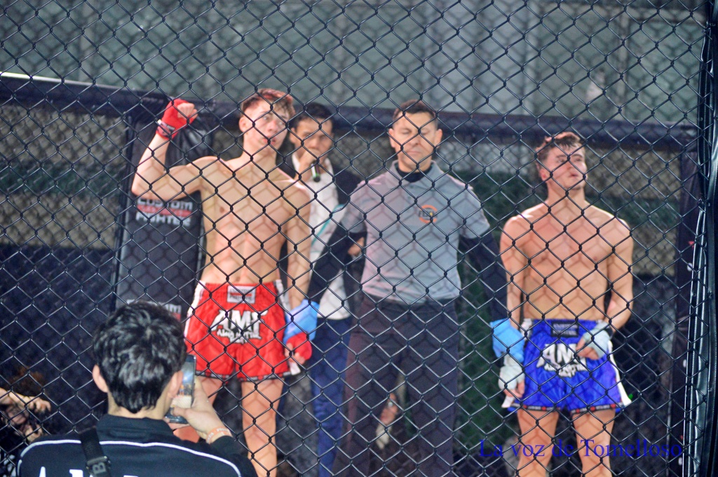 ob.imagen.Descripcion