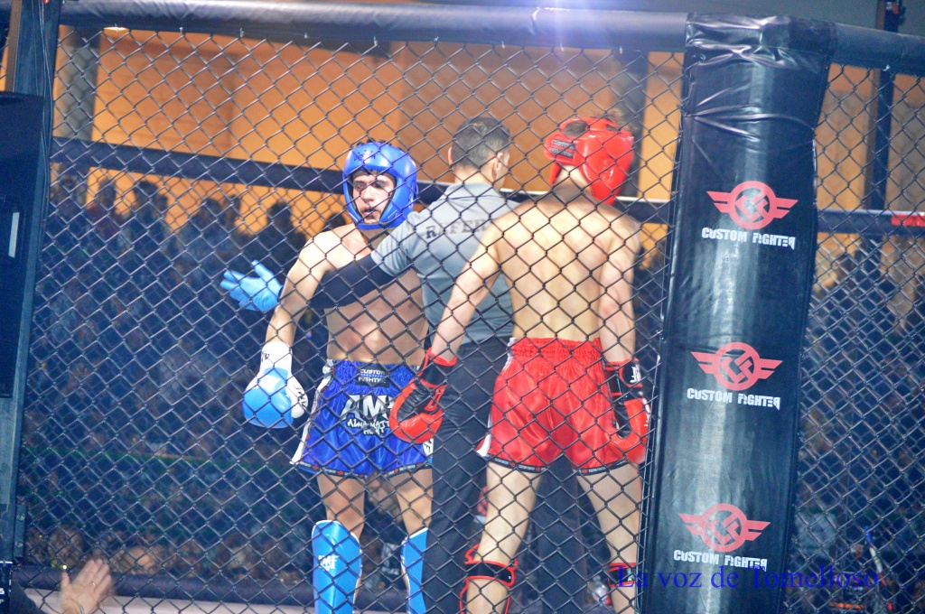 ob.imagen.Descripcion