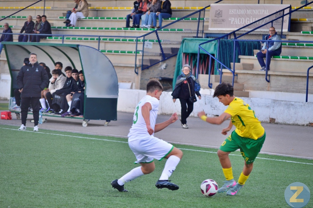 ob.imagen.Descripcion