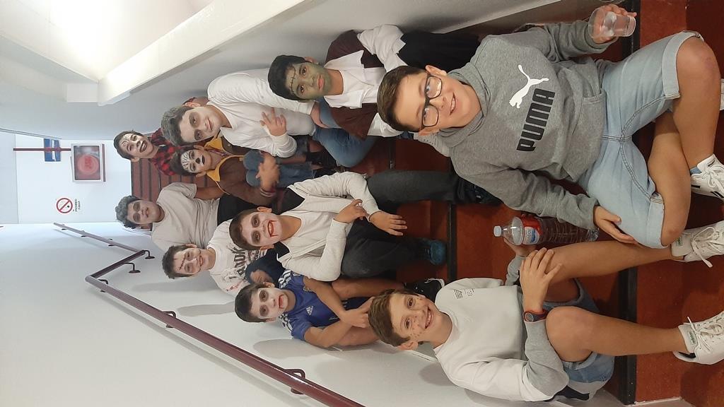 ob.imagen.Descripcion